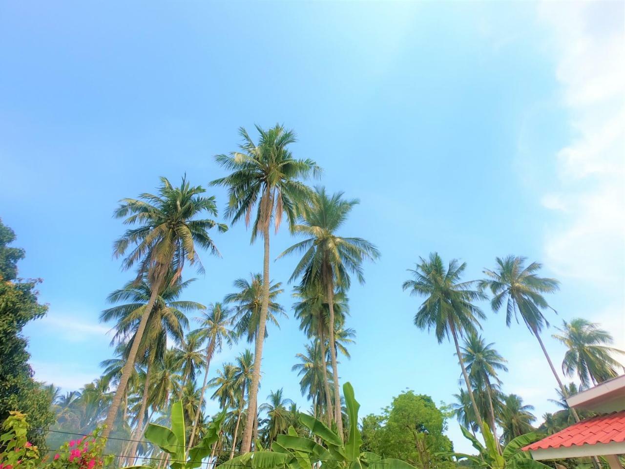 Wirason Villa Pool Maret Exterior foto